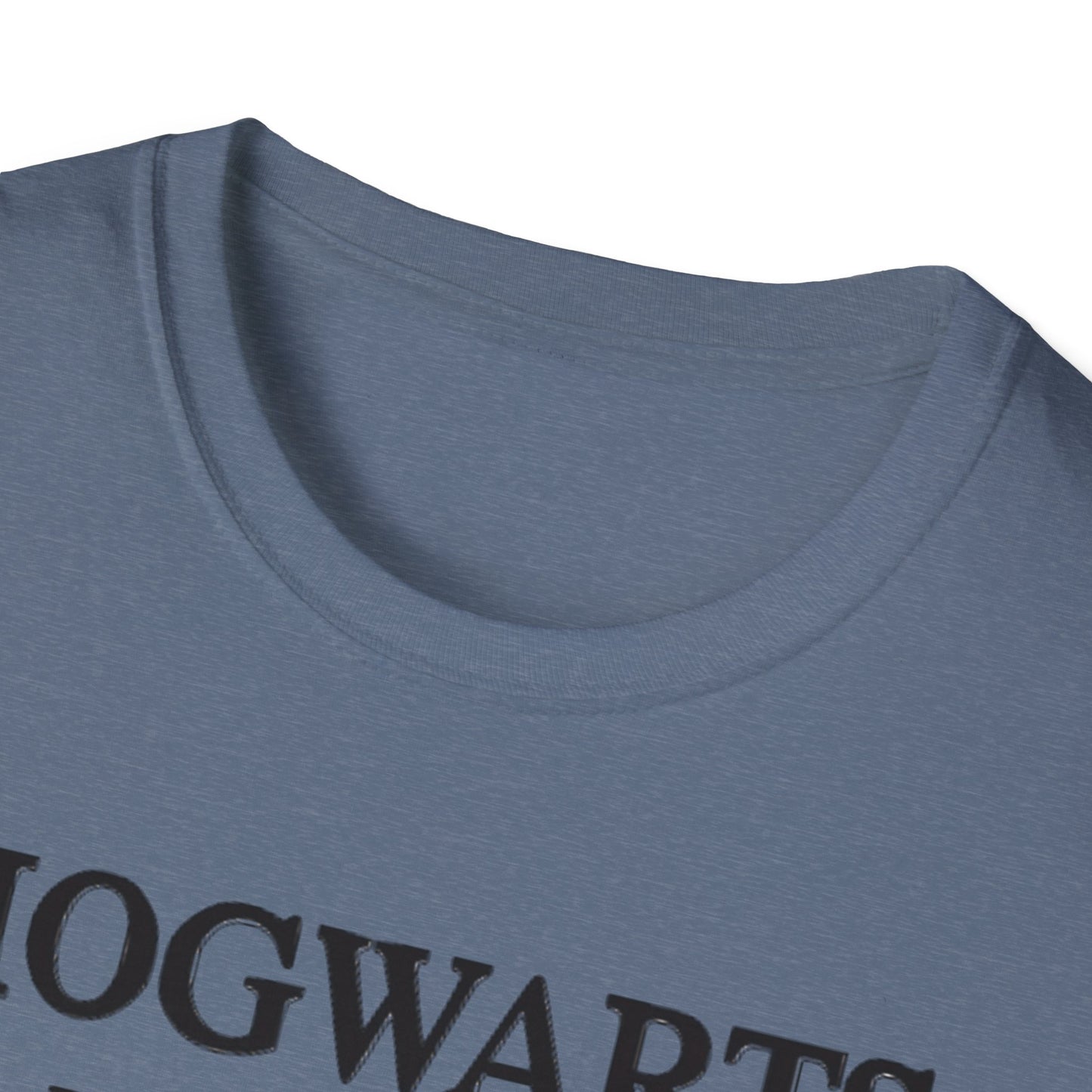 Hogwarts Teaching Muggles Unisex Softstyle T-Shirt wizards